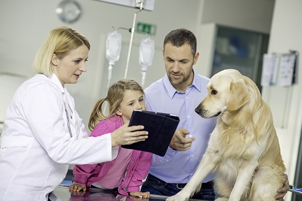 Veterinarian with patient and family