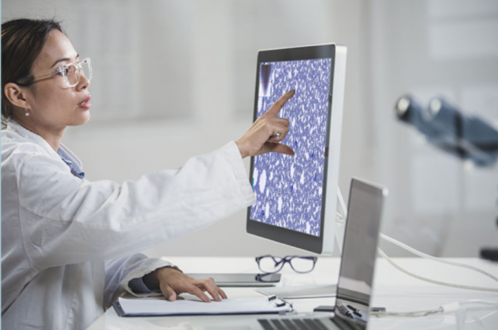 Woman at Computer Monitor